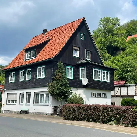 Sonniges Apartment Altenbrak Exterior photo